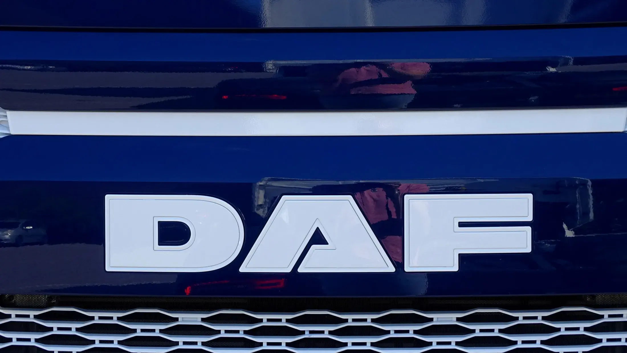 DAF XG+ 480 FT NGD - REWI FLOWERS