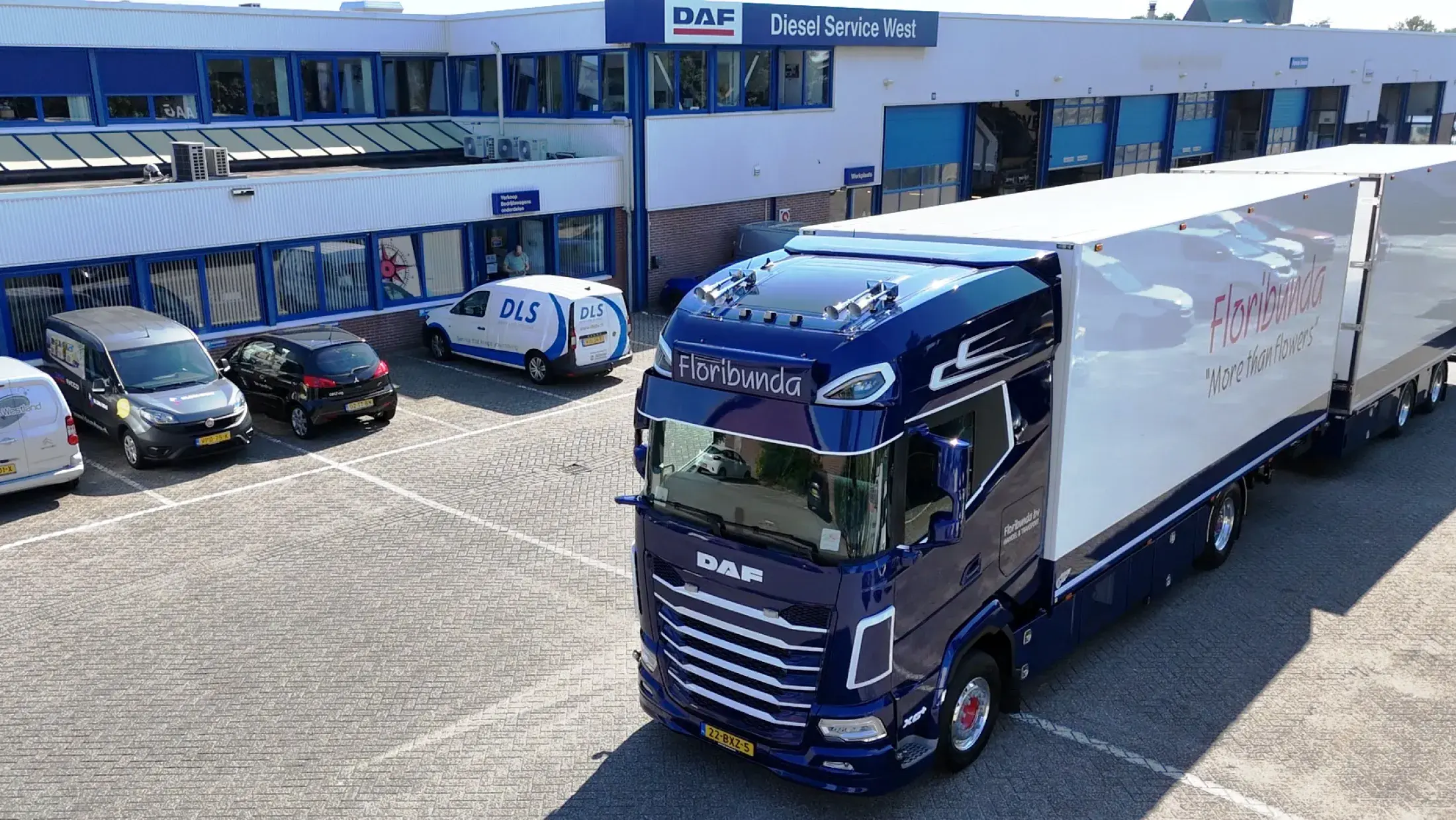 DAF XG+ 480 FA NGD - Floribunda