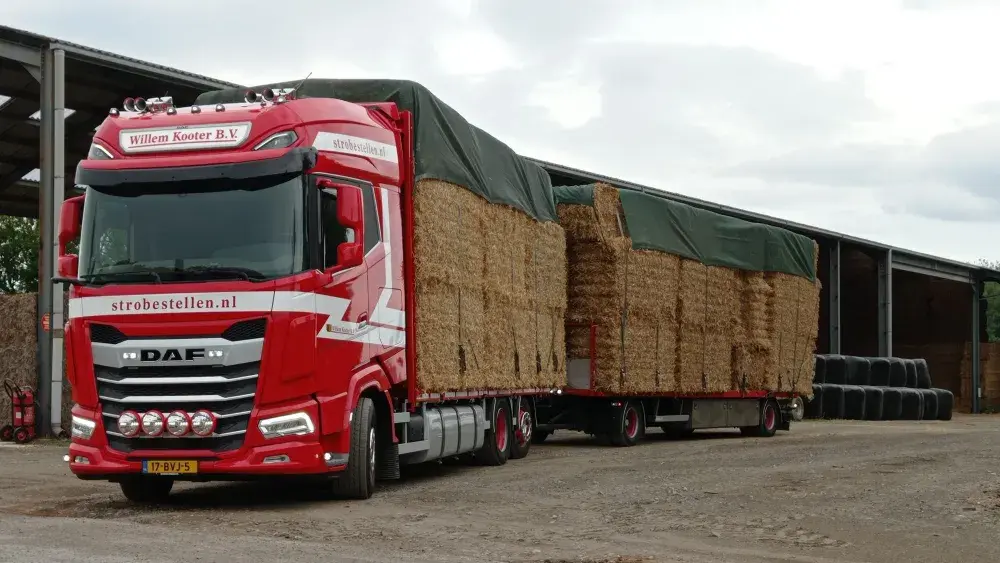 DAF XG 480 FAN NGD - Willem Kooter